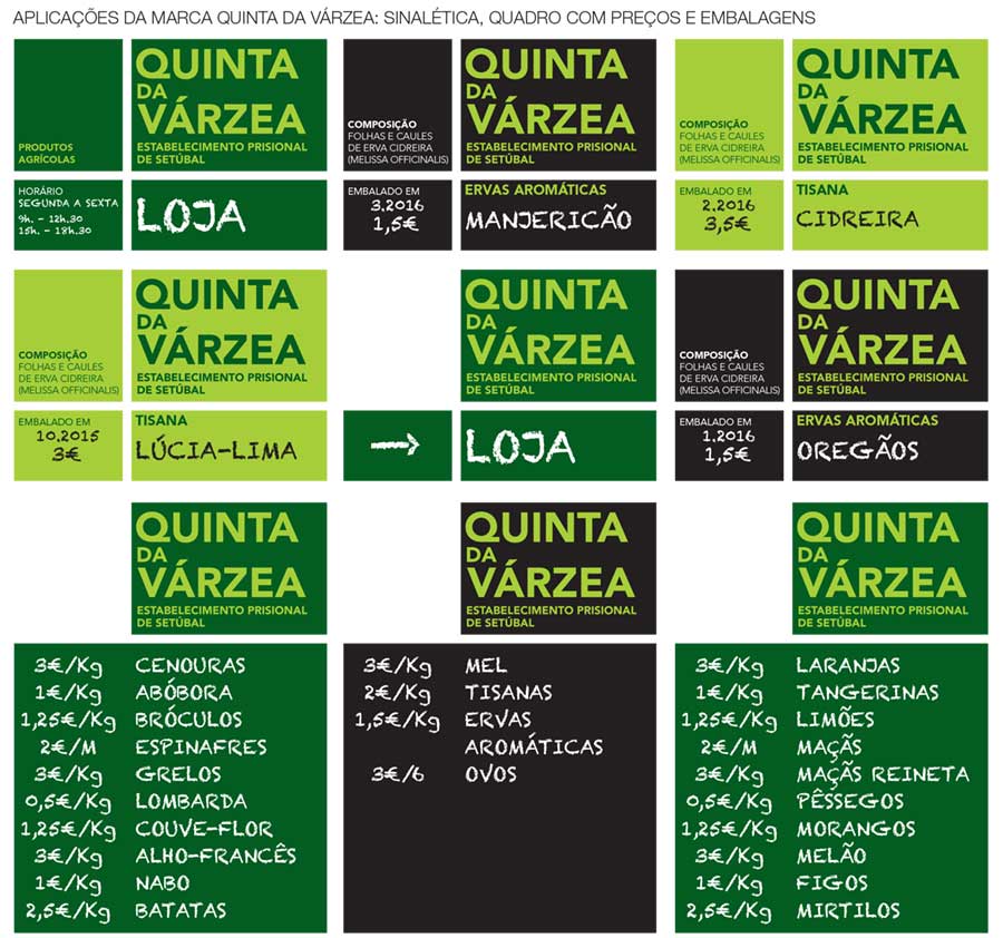 04_qta_varzea
